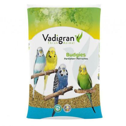 Vadigran Budgies Color