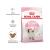 Royal Canin Kitten