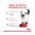 Royal Canin Kitten