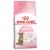 Royal Canin Kitten Sterilised