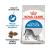 Royal Canin Indoor 27