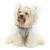 Pet Camelot Dog's Coat Γκρι σε 6 μεγέθη