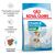 Royal Canin Mini Starter