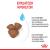 Royal Canin Mini Starter