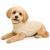 Pet Camelot Dog's Sweater Μπεζ σε 7 μεγέθη