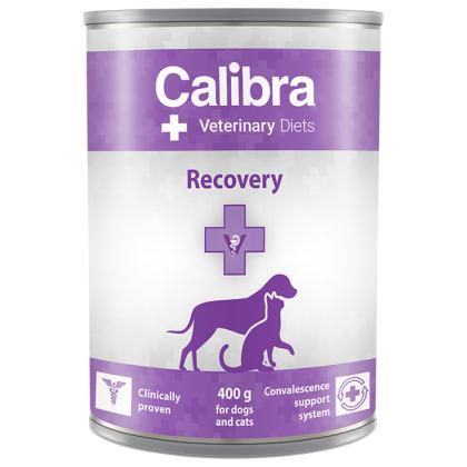 Calibra Recovery Dog / Cat