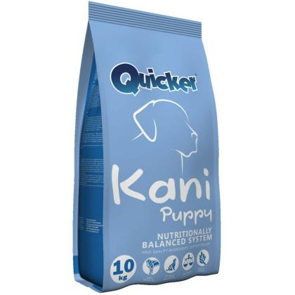 Quicker Kani Puppy