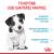 Royal Canin Mini Puppy