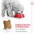 Royal Canin Mini Adult