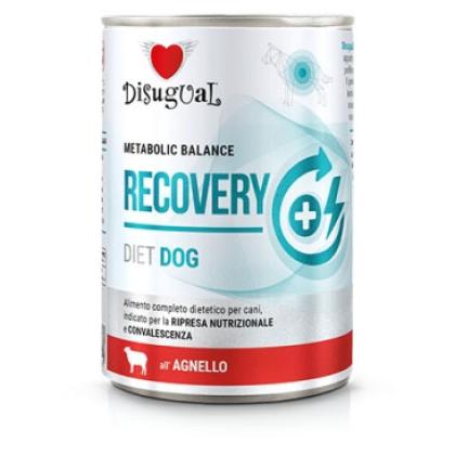 Disugual Metabolic Balance Recovery 400g