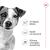 Royal Canin Mini Adult  8+