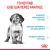 Royal Canin Medium Puppy