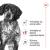 Royal Canin Medium Adult 7+
