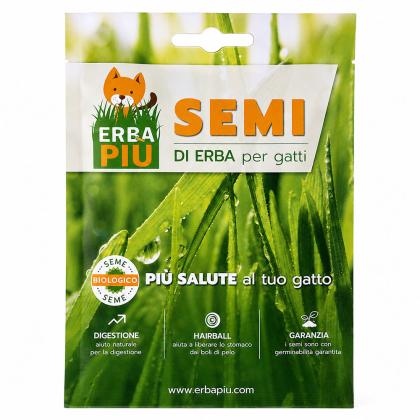 Erba Piu Cat Grass Seeds
