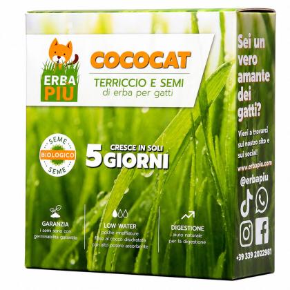 Erba Piu Cat Grass Seeds & Soil