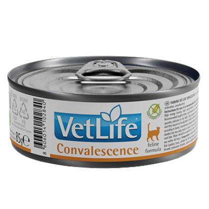 Vet Life Convalescence Feline
