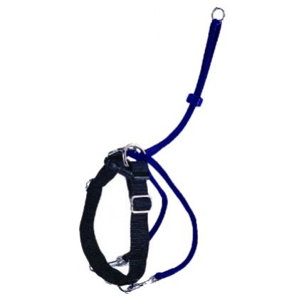 Small Εκπαιδευτικό Σαμαράκι/Easy Walker Pet Camelot