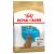 Royal Canin Poodle Puppy