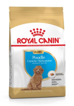 Royal Canin Poodle Junior