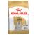 Royal Canin Maltese Adult