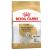 Royal Canin West Highland White Terrier Adult
