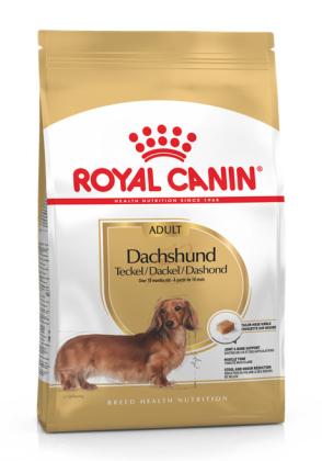 Royal Canin Dachhund Adult