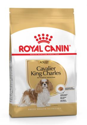 Royal Canin Cavalier King Charles Adult