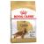 Royal Canin Cocker Adult