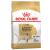 Royal Canin Labrador Retriever Adult