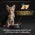 Proplan Baby Kitten Healthy Start 85g