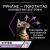 Proplan Kitten Healthy Start 85g