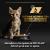 Proplan Kitten Healthy Start 85g