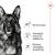 Royal Canin Maxi Adult 5+