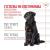 Royal Canin Digestion Chews