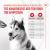 Royal Canin Joint & Ageing Chews