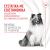 Royal Canin Skin & Coat Chews