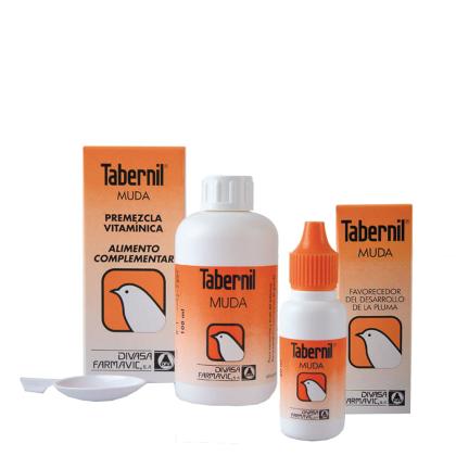 Tabernil Muda