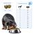 Forza10 Active Vet Diet Renal Mini/Toy Dog