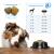 Forza10 Active Vet Diet Renal Dog