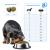Forza10 Active Vet Diet Urinary Mini/Toy Dog