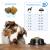 Forza10 Active Vet Diet Intestinal Dog