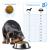 Forza10 Active Vet Diet Intestinal Colon Fase 1 Mini/Toy Dog - Fish