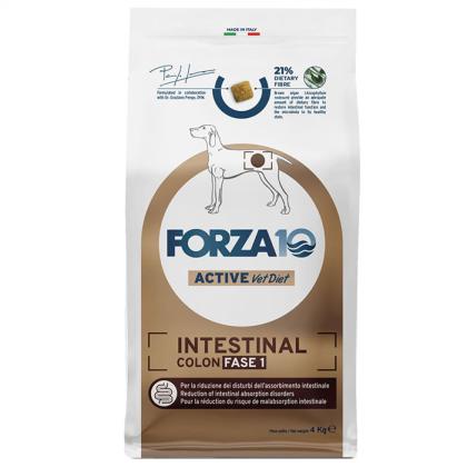 Forza10 Active Vet Diet Intestinal Colon Fase 1 Dog - Fish