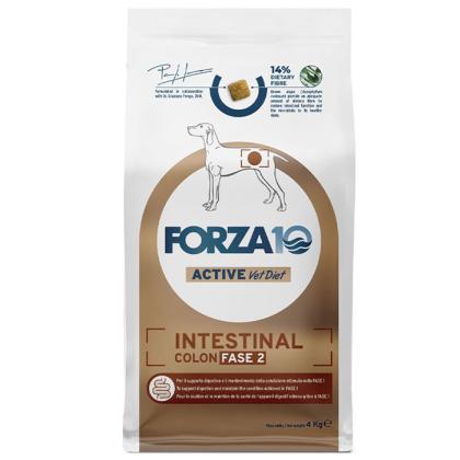 Forza10 Active Vet Diet Intestinal Colon Fase 2 Dog - Fish