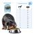 Forza10 Active Vet Diet Dermo Mini/Toy Dog