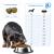 Forza10 Active Vet Diet Echo Mini/Toy Dog