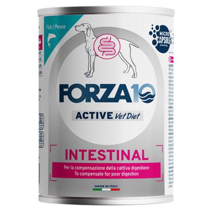 Forza10 Active Vet Diet Intestinal Dog - Fish