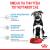 Royal Canin Maxi Puppy