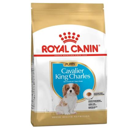 Royal Canin Cavalier King Charles Puppy