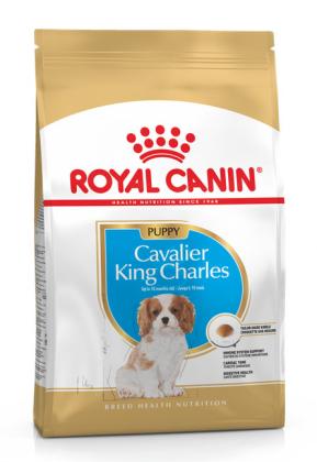Royal Canin Cavalier King Charles Junior